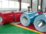 Widely Used PPGI Coil / Construction / Decoration
