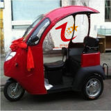 Electric Tricycle for Passenger and Cargo