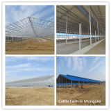 Steel Structure Design Poultry Farm Shed with Full Set Equipment