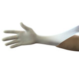 Latex Surgical Glove