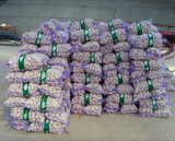 Chinese Natural Green Garlic Harmless From Shandong Boren