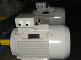 Y2 Series Cast Iron Three Phase AC Induction Electric Asynchronous Motor