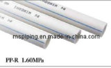 PPR Pipe 1.60mpa for Cold Water