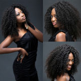 Tangle Free Brazilian Human Hair Extension Afro Kinky Virgin Hair