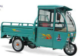 New 800W Electric Passenger Tricycle (HDE-HW2)