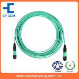 MPO Om3 Fiber Optic Patch Cord Aqua Cable