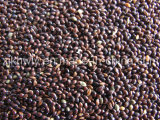 Black Broomcorn Millet