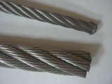 6*19+FC Stainless Steel Wire Rope for Fittings