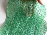 HDPE Plastic Agriculture Green Shade Net/Hebei Wanlai