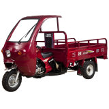 Carbin Cargo Tricycle