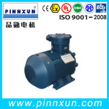 Water Proof Submersible /Electric Ex Proof Motor