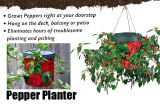 Efficient Dutch Bucket Pepper Planter