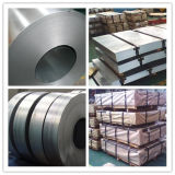 Q345 Cold-Rolled Steel Coil