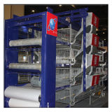 H Type Galvanized Poultry Cage for Layer Chicken Farming