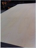 4.8mm and 18mm Natural White Rose Fancy Plywood for Decotative