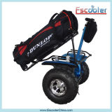 Xinli Escooter Tech Big Professional Chinese Golf Carts with CE