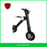 Two Wheel Smart Electric Bicycle