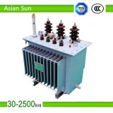 Oil Immersed Distribution Power Transformer