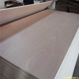 Poplar Core 3mm Bintangor Plywood From Linyi Factory