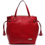 New Style Leather Lady Handbag Leisure Bag Brand Handbag (S1002-A4044)