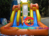 Backyard Inflatable Double Pool Slides for Kids