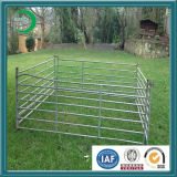 Galvanized Metal Livestock Farm Fence Panels for Horse (xy-L67)