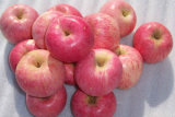 FUJI Apple with High Quality
