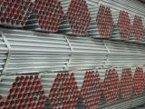 Hot Dipped Galvanized Steel Pipe - 7