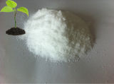Fertilizer Grade Monopotassium Phosphate/ MKP