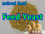 Feed Yeast Powder for Feed Grade