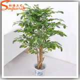 Evergreen Ornamental Artificial Ficus Bonsai Plants Tree