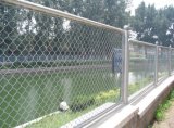 Chainlink Wire Mesh Fence/Chainlink Netting