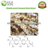 100% Water Soluble Seaweed Extract Powder (9012-72-0)