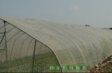 HDPE 50*25mm Agriculture Anti Insect Net