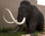 Arificial Animal--Mammoth