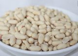 Chinese Blanched Long Shape Peanut Kernel