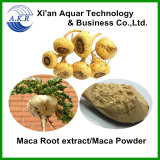 Hot Selling Products Organic Natural Maca Extract / Maca Peru / Healthy- Care / Men Sex Products