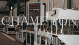 PC Hollow Profile Plastic Extrusion/Extruder Line/Machinery