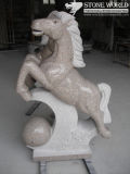 Hand Carved Granite Horse Sculpture for Decoration (CV004)