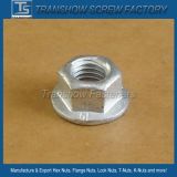 Heavy Structure Flange Nut