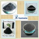 100% Soluble Seaweed Extract Powder