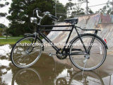Traditional 26 Bicycle with Rear 6speed (SH-TR041)