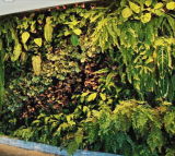 High Quality Artificial Plants and Flowers of Green Wall Gu-Wall008909100192