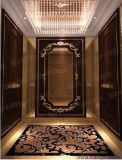 Luxury Commercial Elevator with Good Quality