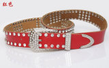 PU Fashion Belt with Diamond (HG-3031)