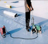 Flexible PVC Waterproofing Membrane / Roofing Materials