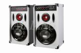 Active Speakers -Professional Stage Speaker Ailiang USBFM-188G/188KD
