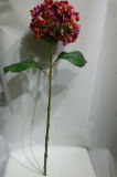Artificial Big Stem Silk Pouch Hydrangea Wedding Flower for Decoration