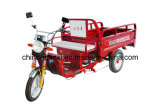 Electric Tricycle Qxss804815-1