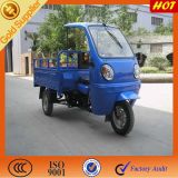 3 Wheel Motorized Cargo